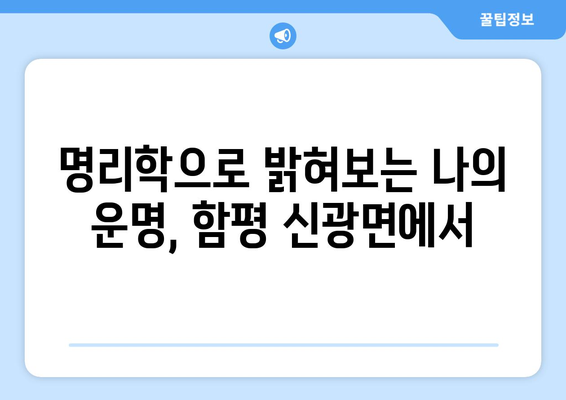 전라남도 함평군 신광면 사주| 지역 특색 담은 운세와 명리학 정보 | 함평, 신광, 사주, 운세, 명리, 점술