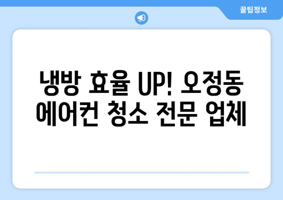 대전 대덕구 오정동 에어컨 청소 전문 업체 추천 | 에어컨 청소, 냉난방, 필터 청소, 곰팡이 제거