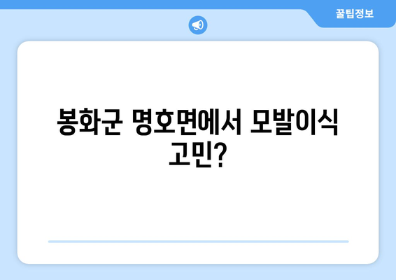 경상북도 봉화군 명호면 모발이식 병원 찾기| 후기, 비용, 전문의 정보 | 모발 이식, 탈모 치료, 봉화