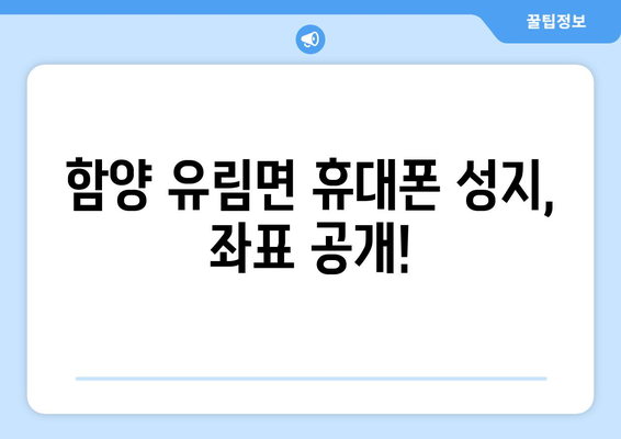 경상남도 함양군 유림면 휴대폰 성지 좌표| 최저가 폰 찾는 꿀팁 | 함양, 유림면, 휴대폰, 성지, 좌표, 저렴하게, 꿀팁