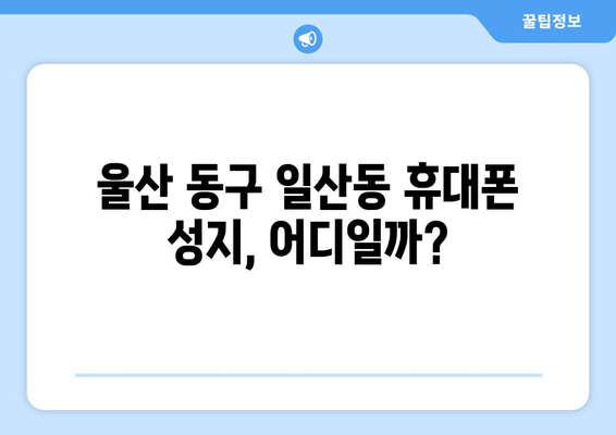 울산 동구 일산동 휴대폰 성지 좌표 & 최신 할인 정보 | 휴대폰 저렴하게 구매하기, 꿀팁