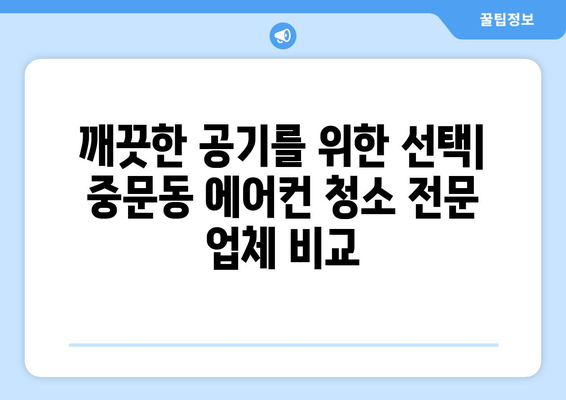 제주도 서귀포시 중문동 에어컨 청소 전문 업체 추천 | 에어컨 청소 비용, 후기, 예약