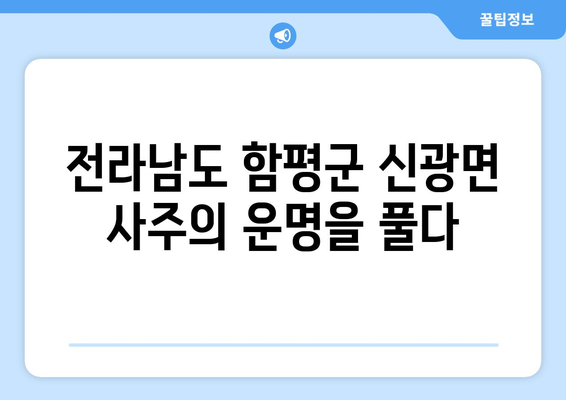 전라남도 함평군 신광면 사주| 지역 특색 담은 운세와 명리학 정보 | 함평, 신광, 사주, 운세, 명리, 점술