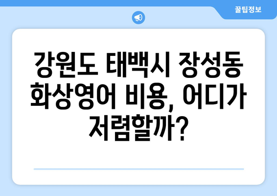 강원도 태백시 장성동 화상 영어 비용| 학원별 비교 분석 및 추천 | 화상영어, 영어 학원, 비용, 가격, 추천