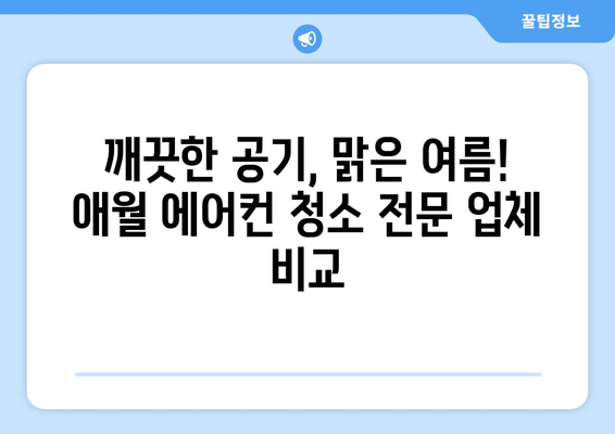 제주도 제주시 애월읍 에어컨 청소 전문 업체 추천 | 에어컨 청소 비용, 예약, 후기