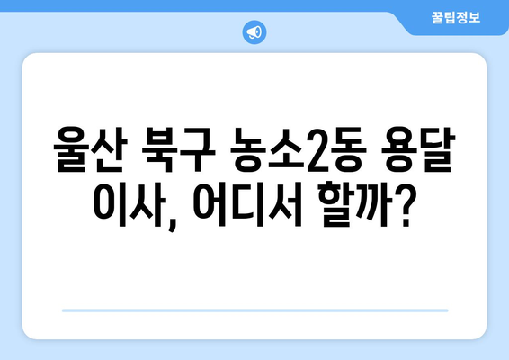 울산 북구 농소2동 용달 이사 전문 업체 추천 | 저렴하고 안전한 이삿짐센터 비교