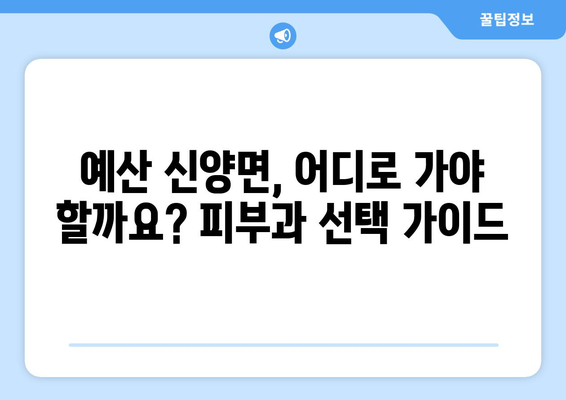 충청남도 예산군 신양면 피부과 추천| 믿을 수 있는 의료 서비스 찾기 | 예산 피부과, 신양면 피부과, 피부과 추천, 의료 정보