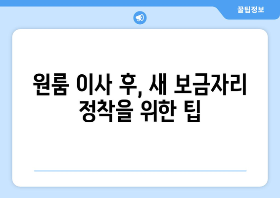 전라남도 장성군 진원면 원룸 이사 가이드| 비용, 업체, 꿀팁 총정리 | 원룸 이사, 장성군, 진원면, 이사 비용, 이삿짐센터, 이사 팁