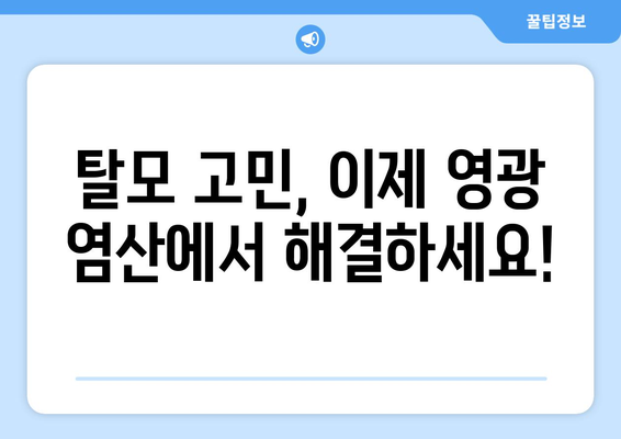 전라남도 영광군 염산면 모발이식| 믿을 수 있는 병원 찾기 | 모발이식, 탈모, 영광, 염산, 병원 추천